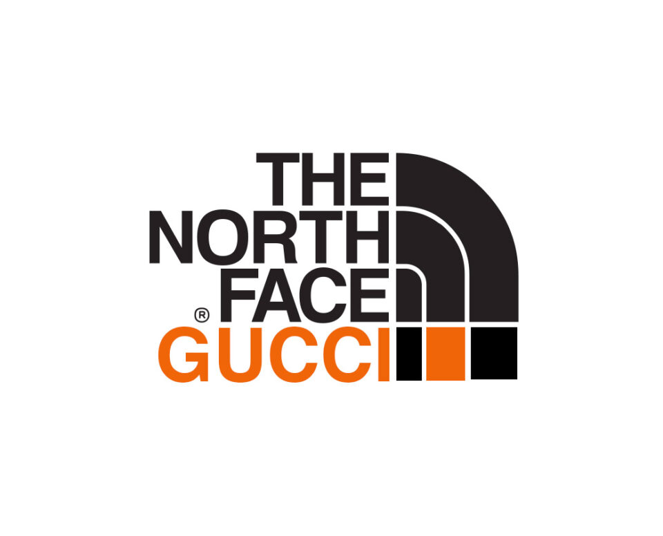 the north face co